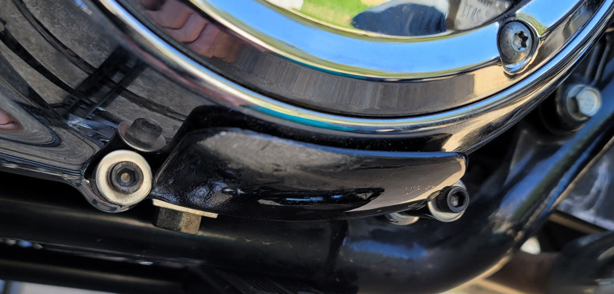 Primary Guard for Harley Touring Models (2016-2026)